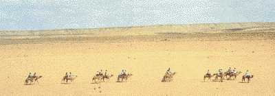 sahara